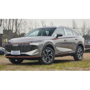 2.0T 224HP L4 Gasoline Haval Vehicle Haval XY 2023 2.0T 5 Door 5 Seats