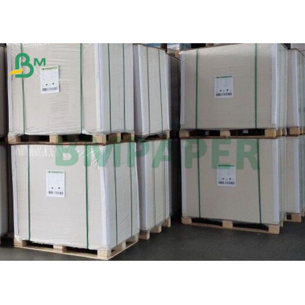 Food Grade Cups Bowls Paper 230gsm PLA Cupstock Paper Roll Sheet For Cup Bowl Lunch Box Degradable