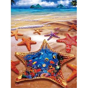 Sealifes Dolphin Turtle Shark Lenticular 3D Motion Card Souvenir Gift Card