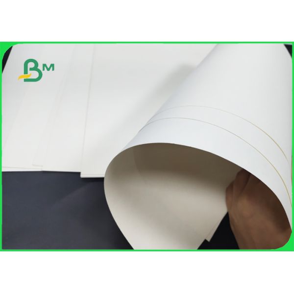 185+15g Polycoated Cupstock Board Disposable FDA Approved 50 * 35cm 185+15g Polycoated Cupstock Board Disposable FDA Approved 50 * 35cm
