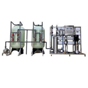Reverse Osmosis Industrial Water Deionizer Technology