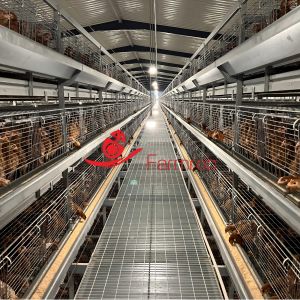 China Enhanced performance poultry cage system for baby chicks on sale