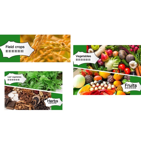 Seaweed Extract Organic Water Soluble Liquid Fertilizer Amino Seaweed