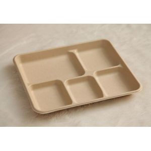 5 compartments Biodegradable Straw pulp food containers paper food trays