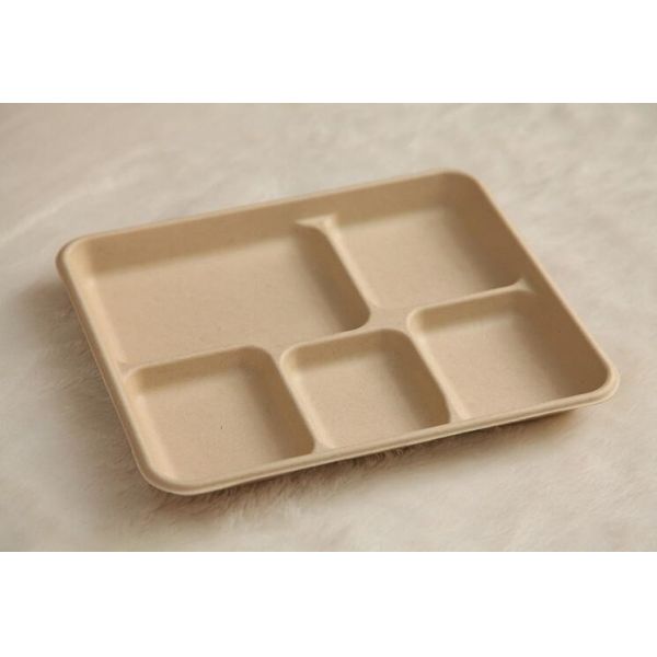 5 compartments Biodegradable Straw pulp food containers paper food trays