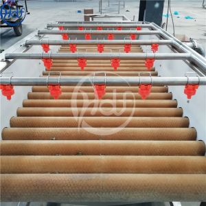 Potato / Tomato Commercial Vegetable Washer , Vegetable Cleaning Machine