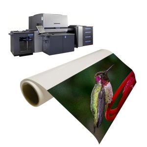 Press Printing Paper Luster Digital Brochures for Exceptional Results