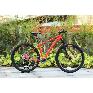 Hydraulic Disc Brake 2022 Year Presents 22 Speed 29inch Mountain Bikes for