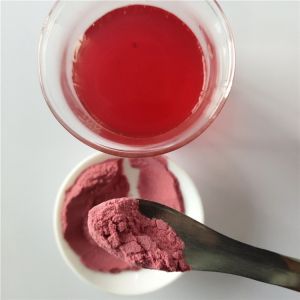 Wholesale Instant Powder Drink Dried Waxberry In Bulk