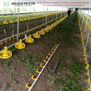 Simple Cheap Support Installation Steel Structure Prefab Building Cow Sheep