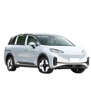 China 2023 ARCFOX Koala Family Version Electric Car and with Lithium Iron Phosphate Battery on sale