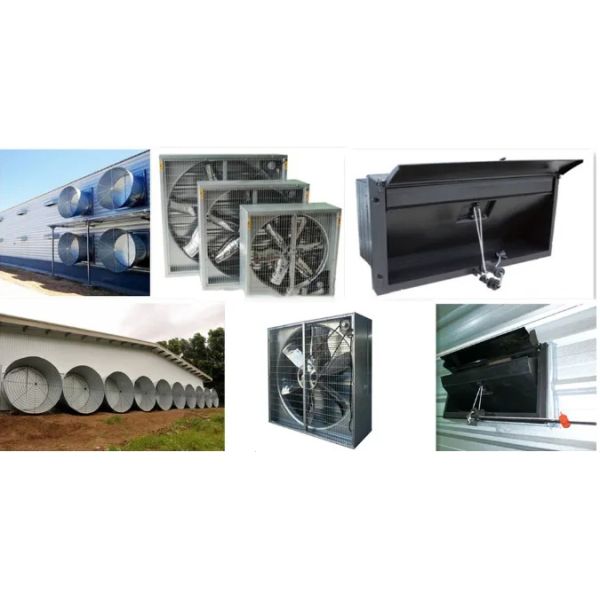 Environment Control Animal Husbandry / Poultry Farm Equipment Automatic Feeding Chicken