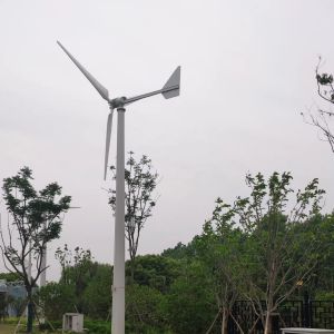 Wind Solar Hybrid Power System 10Kw Off Grid Generator with Flange Pole