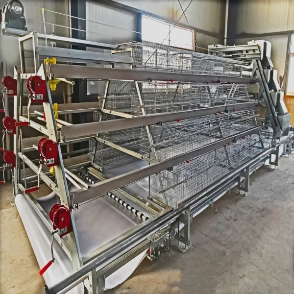 Buy Automatic Broiler Chicken Cage Farm Equipment Poultry 3 Tiers at wholesale prices