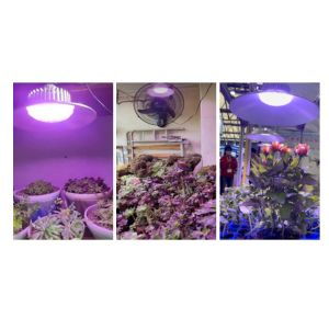 LED Plant Growth Lamp Full Spectrum High Power Complement Lamp