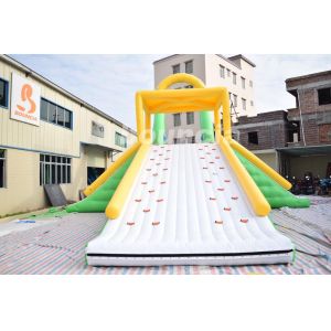 Customized Inflatable Water Toys, Inflatable Action Tower Wirh Swing