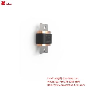 EV Fuse Electric Vehicle Fuse 500A-1000A DC500V