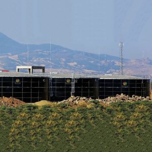 Domestic Biogas Anaerobic Tank Wastewater Treatment Bio Gas Plant Project