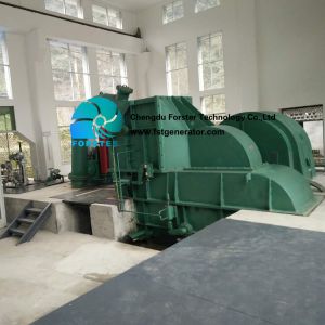 3 Phase AC Hydroelectric Pelton Turbine Generator Compact Structure