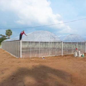 Year Round Nursery Hothouse Automated Dome Modular Multispan Tunnel Greenhouse