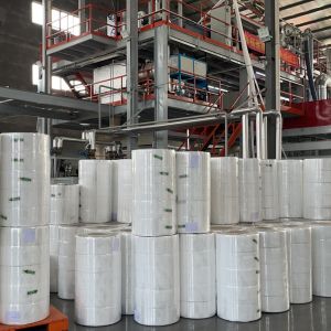 Custom Spunlaced Spunbonded And Meltblown Nonwoven Fabrics For Facial Mask