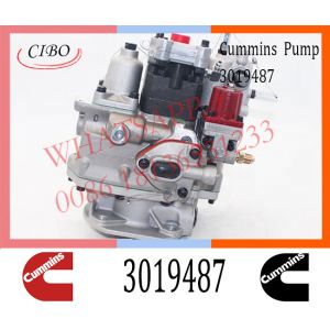 Cummins Engine NTA855 PT Fuel Injection Pump 3019487 3062033 3019488