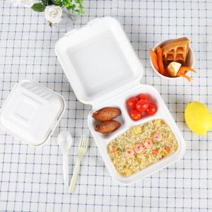FREE PLASTIC 2021 Eco friendly tableware Pulp tableware Biodegradable food