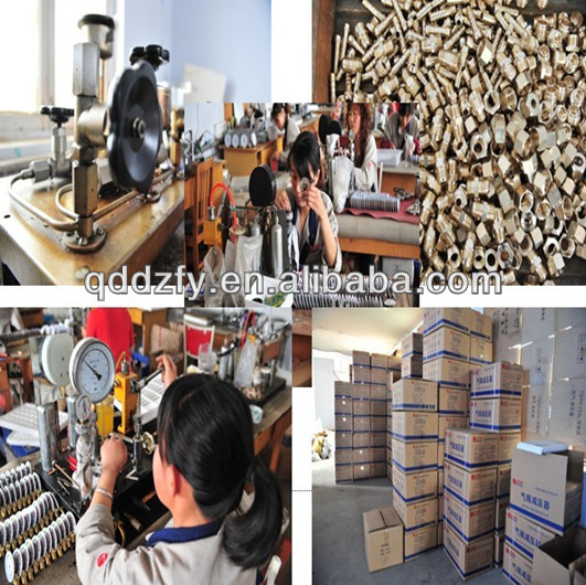 60mm Economy Pressure Gauge Manufacturer With Rubber Protective Cover