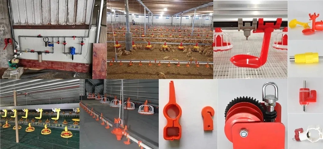 Chicken Poultry Farm Equipment for Broiler House in Philippines with Steel