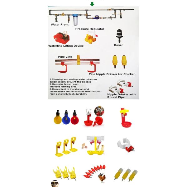 Environment Control Animal Husbandry / Poultry Farm Equipment Automatic Feeding Chicken