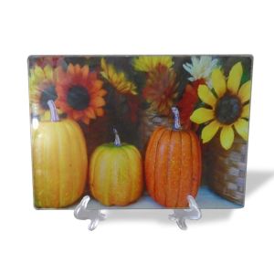 Tempered Glass Cutting Board for Practical and Stylish Meal Preparation