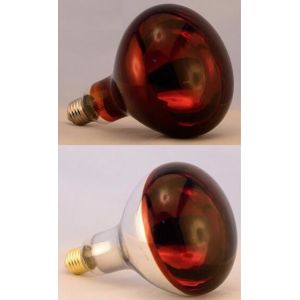 Red infrared lamp 100W 150W 175W 200W 250W 275W animal chicken pig pet therapy