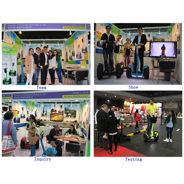 Carbon Foldable Electric Scooter with 350 Watt Brushless Motor , Electric Kick Scooter