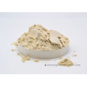 Slightly Yellowish Fine Dried Wheat Gluten Powder For Human Foods