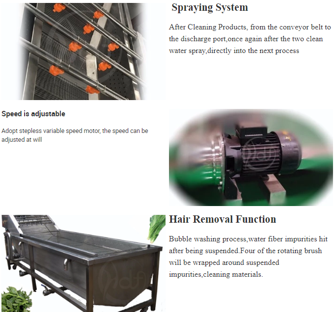 Stainless Steel 304 Automatic Ultrasonic Vegetable Washing Machine Industrial Vegetable Washer