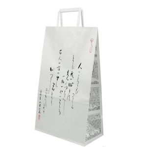Waterproof 20*11*22cm Craft Paper Shopping Bags