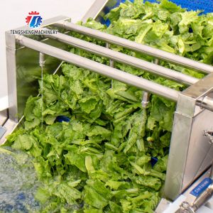 Vegetables bubble washing machine Wash Washer Washing Cleaning processing