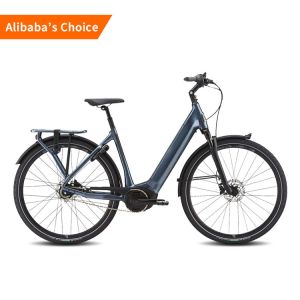 25km/H Long Range Electric City Road Bike 750w High Power Two Wheel