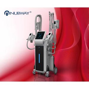 Quality 4 Handles Body Slimming Fat Freezing cryolipolysis slimming machine for sale