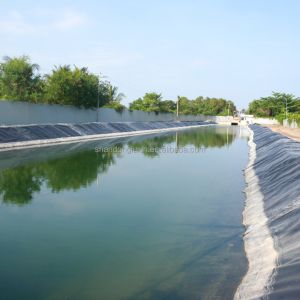 Industrial Design Style HDPE Geomembrane for Double smooth Pond Liner and Geo