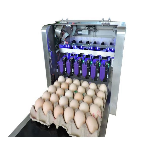 Mobile Edible Food Printer / Egg Jet Printer With Customize Printing Length