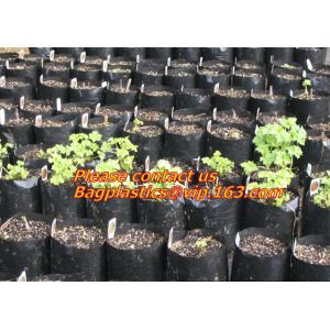 vegetables, fruits, seeds, bedding plants, tomatoes, peppers, cucumbers, tree