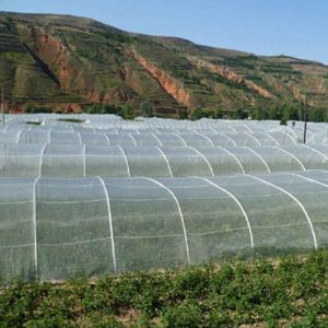 100% HDPE raw material agricultural greenhouse insect net