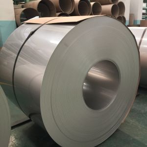 409L Stainless Steel Coil 2D Mirror Thickness 0.5-2mm SS 409L SUH409L Steel Coil