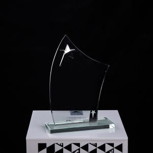 Encourage Souvenir Plastic Crystal Trophy Cup With Laser Engraving