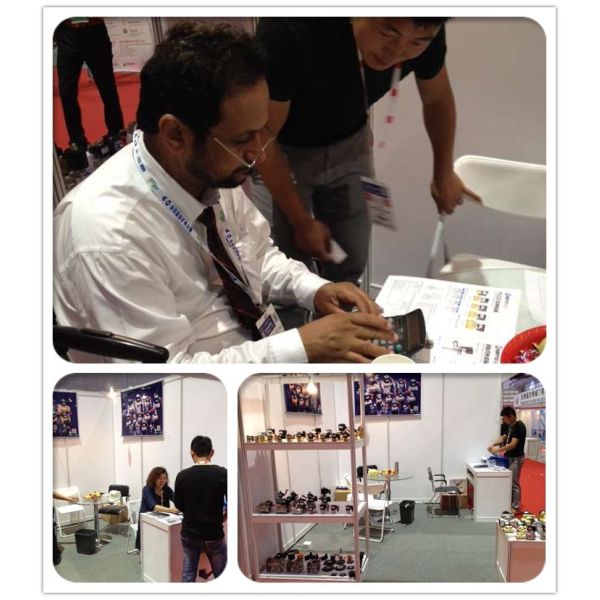 Brass Stainless Steel Pneumatic Solenoid Valve Air Gasoline Miniature Solenoid Valve