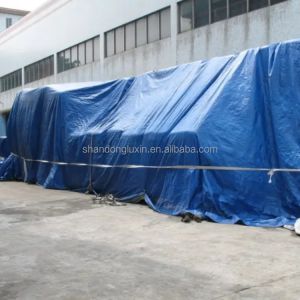 Density 6*6-16*16 Double Faced Outdoor PE Tarpaulin Sheet Roll for Garden Truck