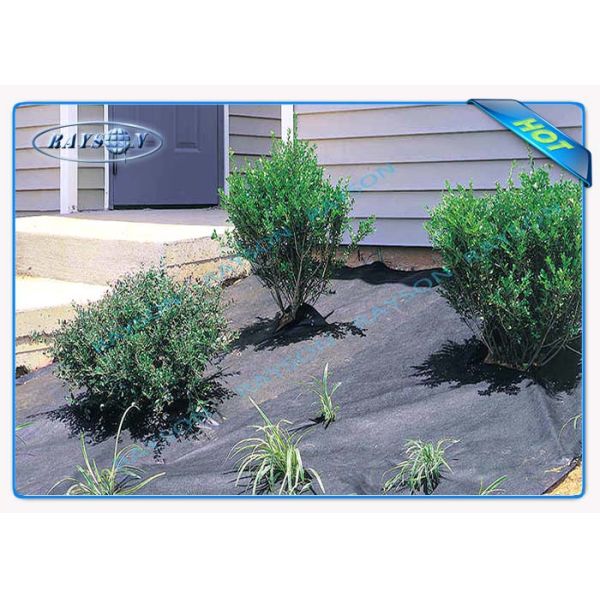 Buy Small Rolls Anti-UV Biodegradable Landscape Fabric , Landscape Ground Cover at wholesale prices