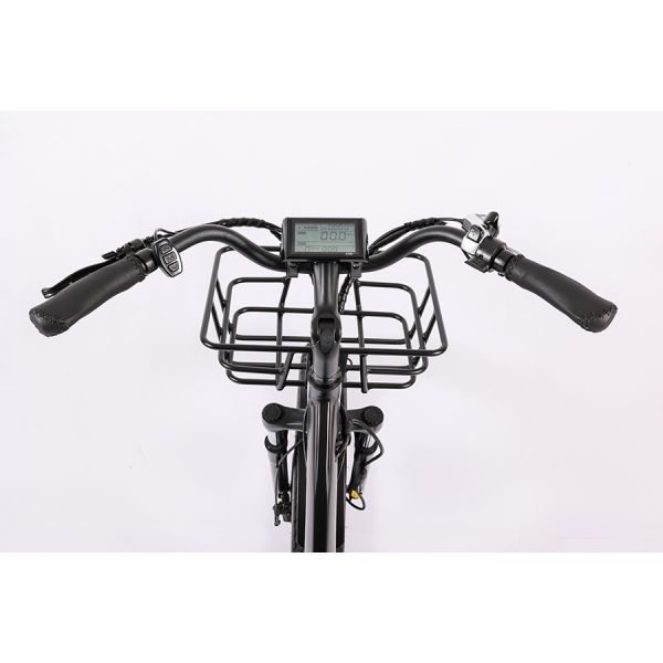 Wholesaler Adults 750w/500W 3 Wheel Electric Cargo Tricycle with Aluminium Alloy Fork