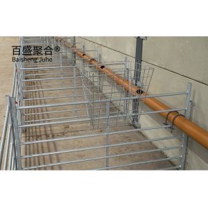 Grade Steel H Beams Used in Prefabricated Cow/Cattle/Sheep/Chicken Farm Building